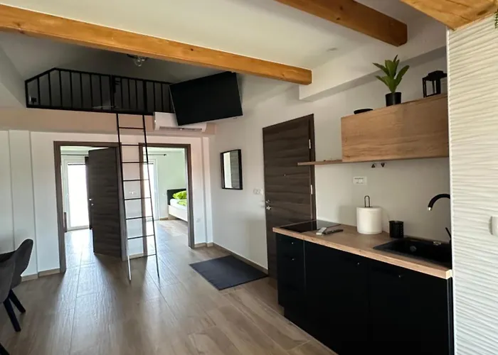 公寓 Harmony Joe 拉登齐